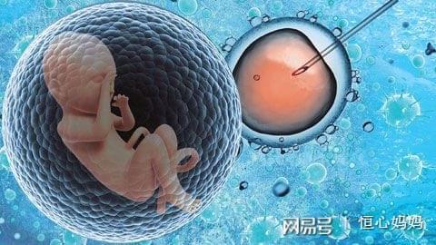 供卵代生机构